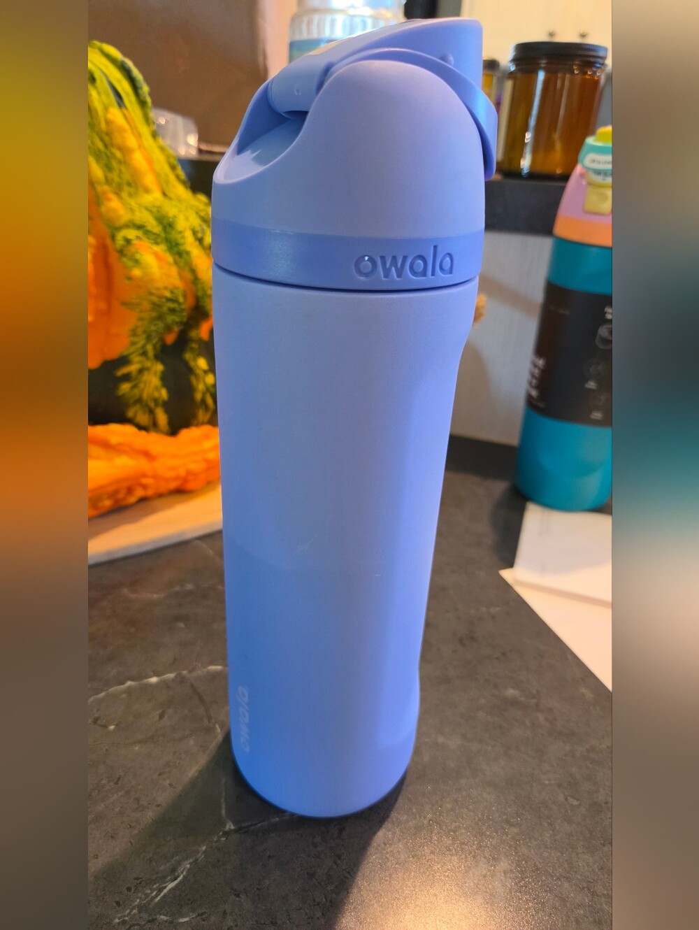 Owala Blue Insulated Water Bottle with One-Hand Flip Cap